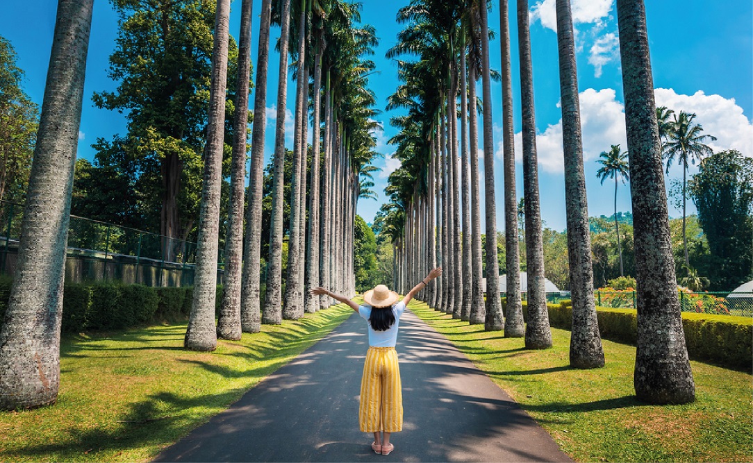 KANDY SIGHTSEEING